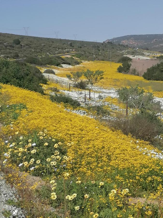 Отель Bokkomblommetjie Ламбертс-Бей Экстерьер фото